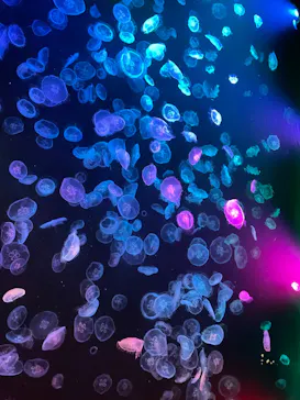 すみだ水族館に投稿された画像（2022/2/24）