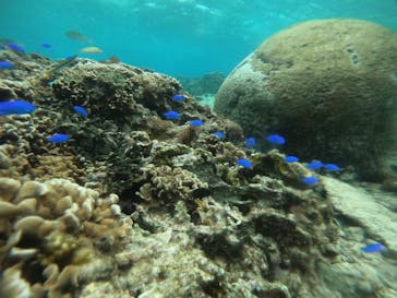 武藤潜水に投稿された画像（2022/2/24）