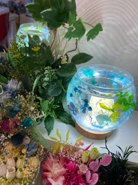 ずこうしつ〜sugamo〜に投稿された画像（2022/2/24）