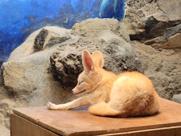 伊豆シャボテン動物公園に投稿された画像（2022/2/24）