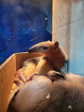 伊豆シャボテン動物公園に投稿された画像（2022/2/24）