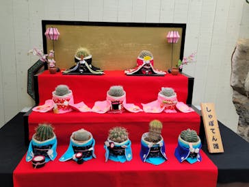 伊豆シャボテン動物公園に投稿された画像（2022/2/24）