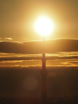 サンシャイン60展望台に投稿された画像（2022/2/24）