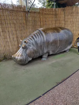 天王寺動物園に投稿された画像（2022/2/24）