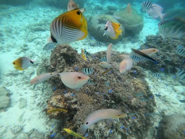 武藤潜水に投稿された画像（2022/2/24）