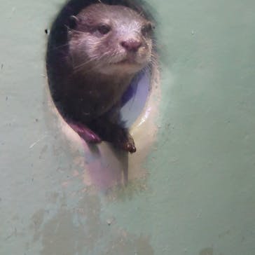 マクセル アクアパーク品川に投稿された画像（2022/2/24）