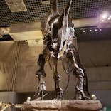 国立科学博物館に投稿された画像（2022/2/24）