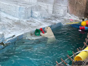 天王寺動物園に投稿された画像（2022/2/24）