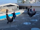 大分マリーンパレス水族館 「うみたまご」に投稿された画像（2022/2/24）