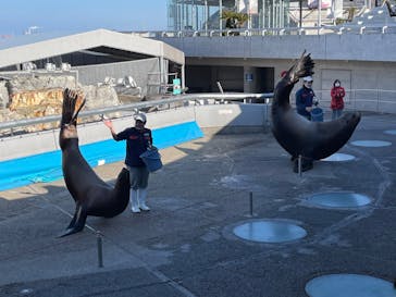 大分マリーンパレス水族館 「うみたまご」に投稿された画像（2022/2/24）