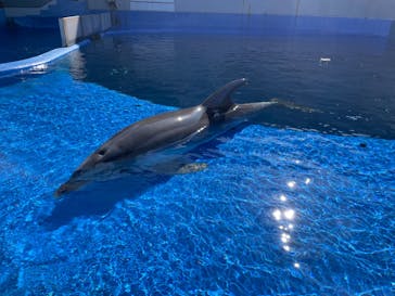 大分マリーンパレス水族館 「うみたまご」に投稿された画像（2022/2/24）
