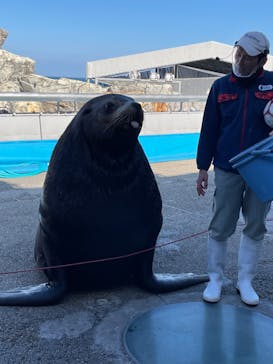 大分マリーンパレス水族館 「うみたまご」に投稿された画像（2022/2/24）