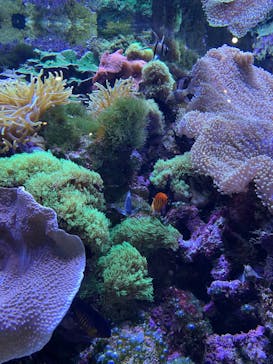 大分マリーンパレス水族館 「うみたまご」に投稿された画像（2022/2/24）