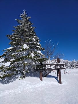 ピラタス蓼科スノーリゾートに投稿された画像（2022/2/24）