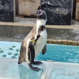 下田海中水族館に投稿された画像（2022/2/24）