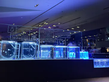 すみだ水族館に投稿された画像（2022/2/24）