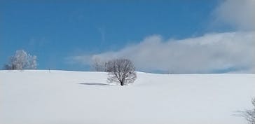 野沢温泉スキー場に投稿された画像（2022/2/24）
