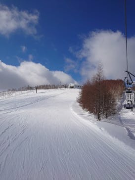 志賀高原中央エリアスキー場に投稿された画像（2022/2/24）