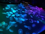 すみだ水族館に投稿された画像（2022/2/24）
