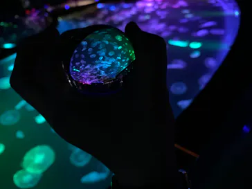 すみだ水族館に投稿された画像（2022/2/24）