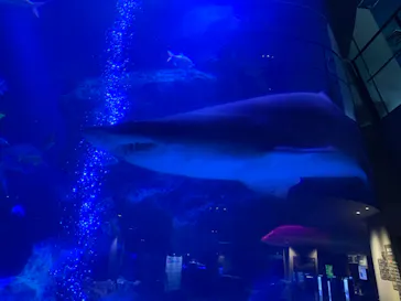 すみだ水族館に投稿された画像（2022/2/24）