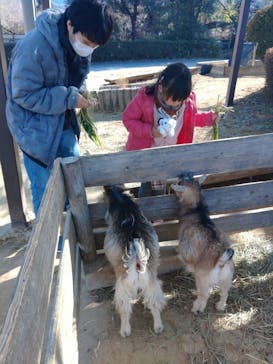 群馬サファリパークに投稿された画像（2022/2/24）