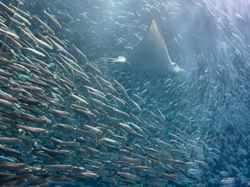 名古屋港水族館に投稿された画像（2022/2/24）