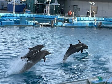 名古屋港水族館に投稿された画像（2022/2/24）