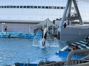 名古屋港水族館に投稿された画像（2022/2/24）