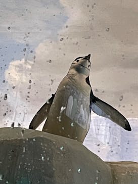 名古屋港水族館に投稿された画像（2022/2/24）