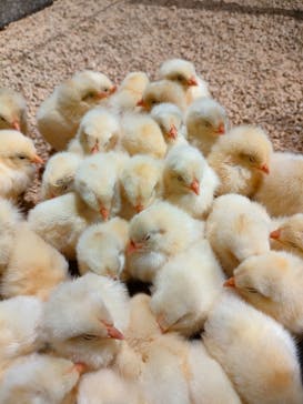 Moff animal world MARK IS みなとみらい店に投稿された画像（2022/2/24）