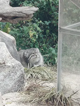 神戸どうぶつ王国に投稿された画像（2022/2/24）