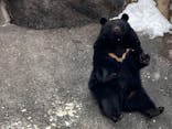 奥飛騨クマ牧場に投稿された画像（2022/2/25）