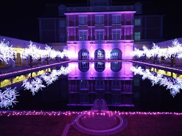 神戸イルミナージュに投稿された画像（2022/2/24）