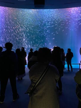 名古屋港水族館に投稿された画像（2022/2/25）