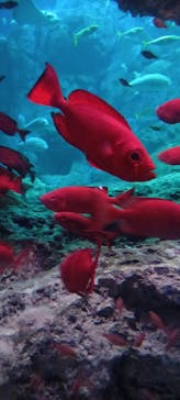 大分マリーンパレス水族館 「うみたまご」に投稿された画像（2022/2/25）