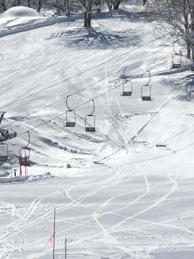 野沢温泉スキー場に投稿された画像（2022/2/25）