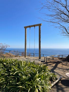 ACAO FORESTに投稿された画像（2022/2/25）