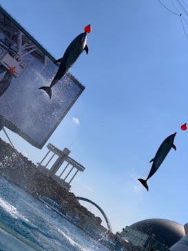 名古屋港水族館に投稿された画像（2022/2/25）