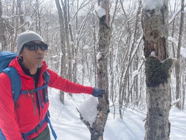 twin tree（ツインツリー）に投稿された画像（2022/2/25）