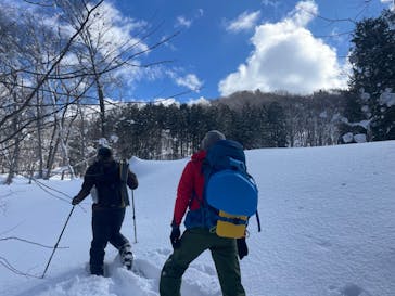 twin tree（ツインツリー）に投稿された画像（2022/2/25）