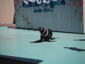 横浜・八景島シーパラダイスに投稿された画像（2022/2/25）