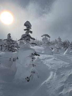 志賀高原マウンテンリゾートに投稿された画像（2022/2/25）