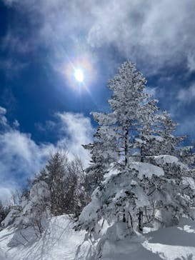 志賀高原マウンテンリゾートに投稿された画像（2022/2/25）