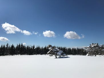 菅平高原スノーリゾートに投稿された画像（2022/2/25）