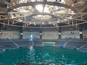 マクセル アクアパーク品川に投稿された画像（2022/2/25）