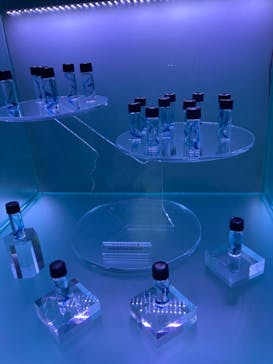 マクセル アクアパーク品川に投稿された画像（2022/2/25）