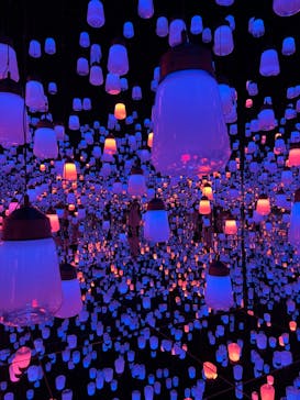 森ビル デジタルアート ミュージアム：エプソン チームラボボーダレスに投稿された画像（2022/2/25）