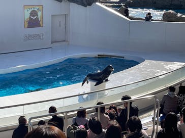 鴨川シーワールドに投稿された画像（2022/2/25）