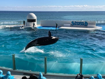 鴨川シーワールドに投稿された画像（2022/2/25）